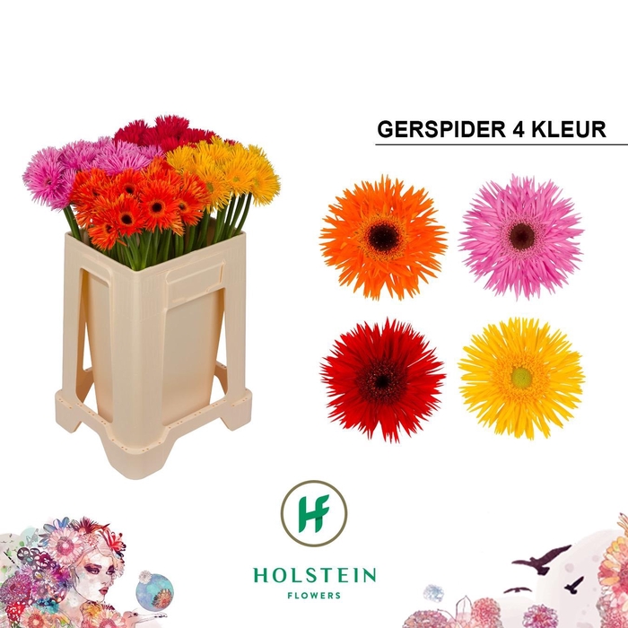 <h4>GE MS GERSP GEM</h4>