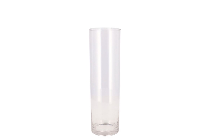 <h4>Glass Cylinder D9xh30cm</h4>