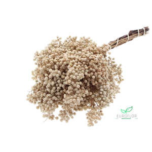 PEPPERBERRIES BLEACHED