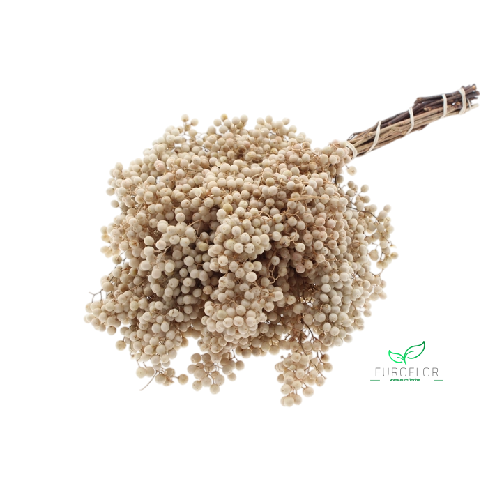 <h4>PEPPERBERRIES BLEACHED</h4>