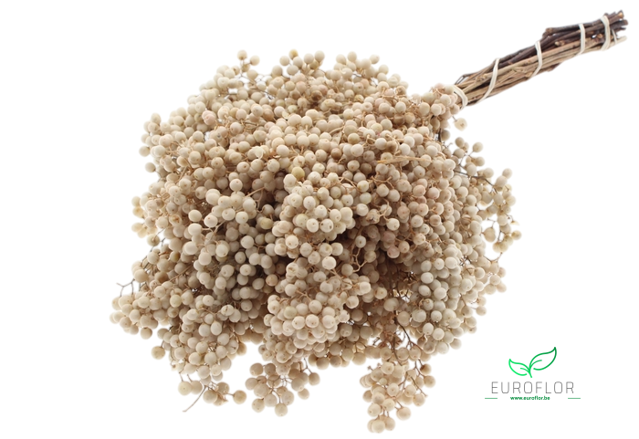 PEPPERBERRIES BLEACHED