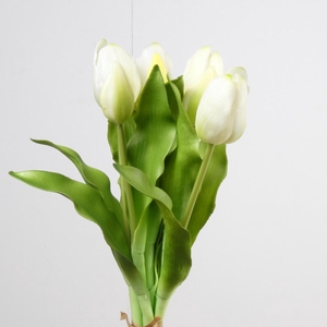 Af Tulip Bundle X7 L31cm White