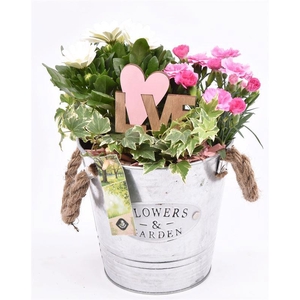 Zink emmer Flower & Garden 16 cm