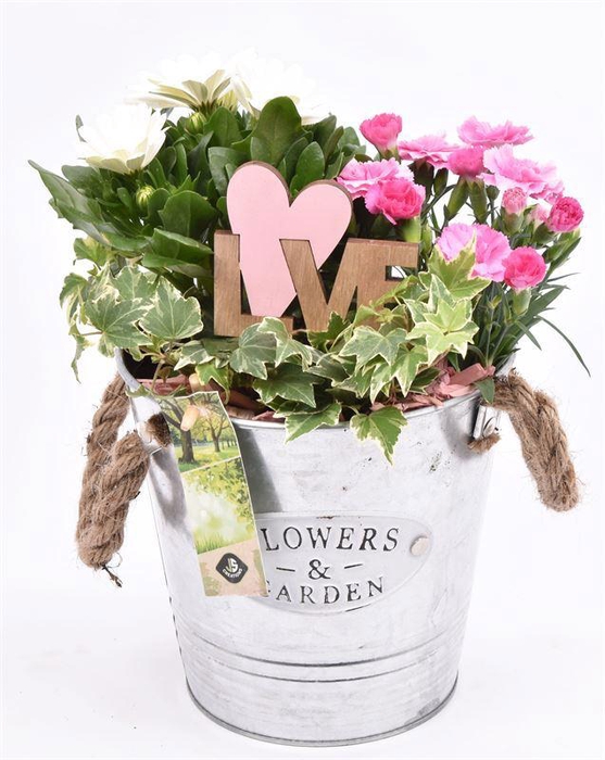 <h4>Zink emmer Flower & Garden 16 cm</h4>