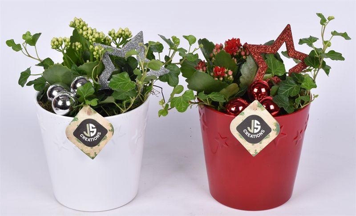 <h4>Keramiek ster decor pot 13.5cm</h4>