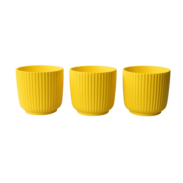 <h4>L 953 Yellow 12 cm</h4>