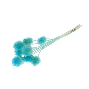 Pres Scabiosa 10pc L Blue Bunch Slv