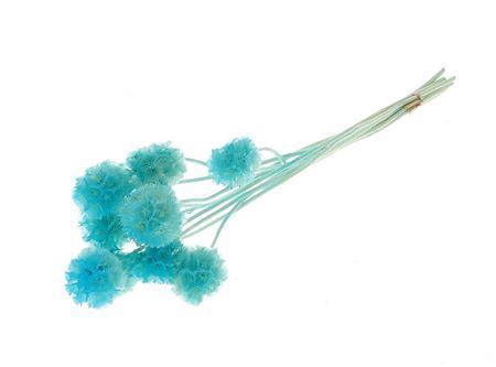 <h4>Pres Scabiosa 10pc L Blue Bunch Slv</h4>