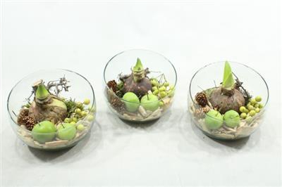 <h4>6018 HALF GLAS AMAR</h4>