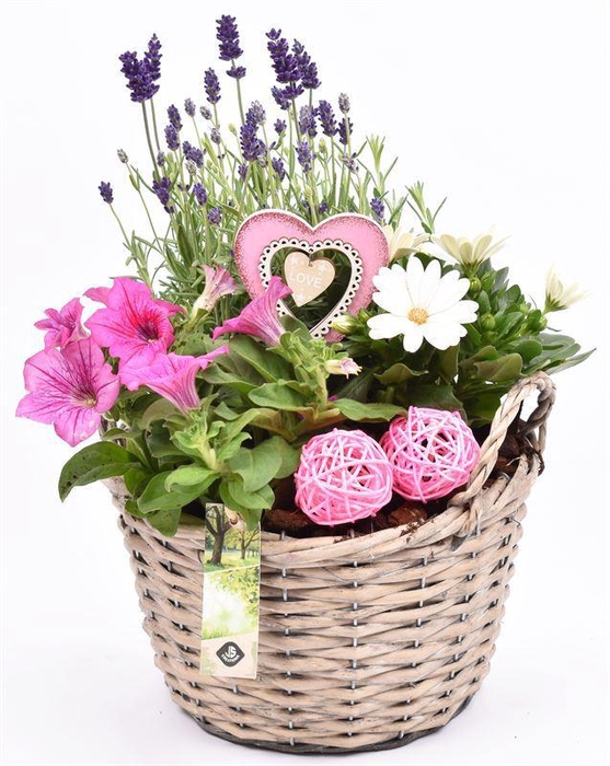 <h4>Wilg mand grijs met oor 23cm</h4>