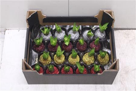 <h4>Hyacint Topline Mix</h4>