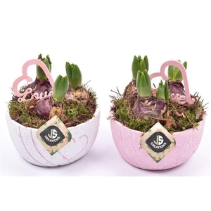 Cement schaal hart decor mix 16cm