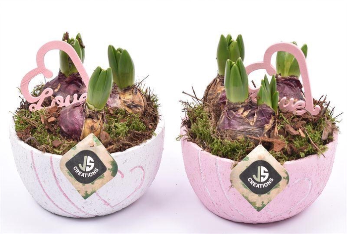 <h4>Cement schaal hart decor mix 16cm</h4>