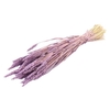 Bunch Triticum Frosted Slv L60
