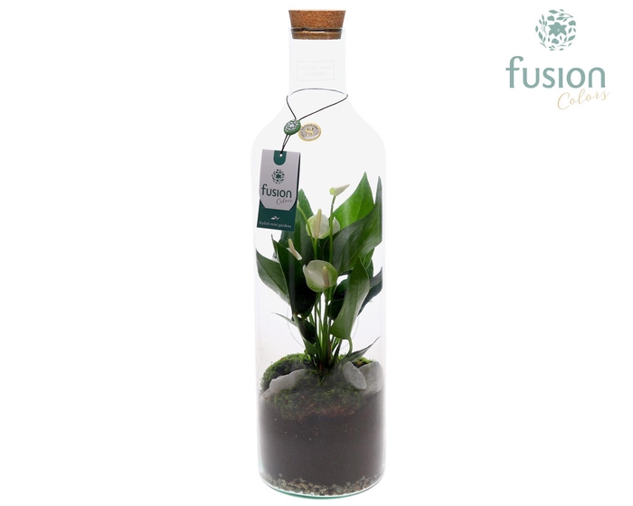 <h4>Green Bottle Fles Large met Anthurium</h4>