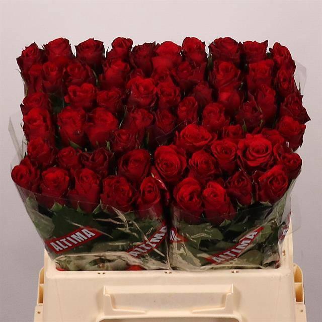 <h4>R GR UPPER CLASS</h4>