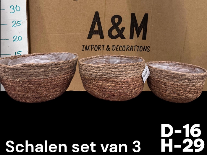 <h4>MANDWERK H%</h4>