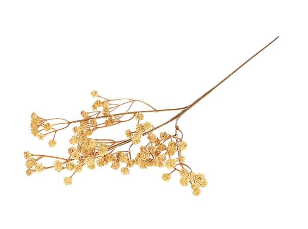 Branch Gypsophila L65