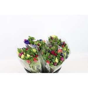 Anem Co Jerusal Mixed