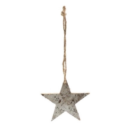 <h4>Kerst Hanger ster 10cm</h4>