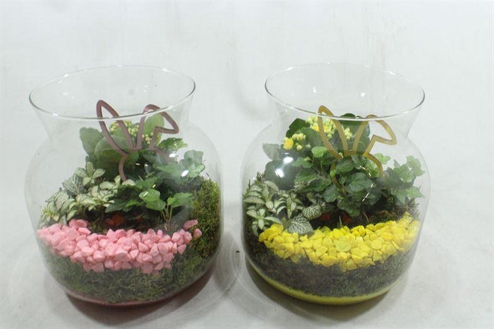 <h4>3022 CANDY JAR INDOOR</h4>