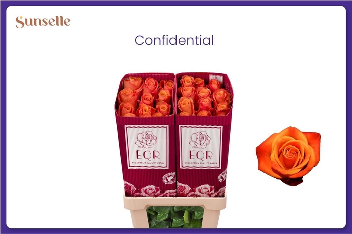 <h4>R GR CONFIDENTIAL</h4>