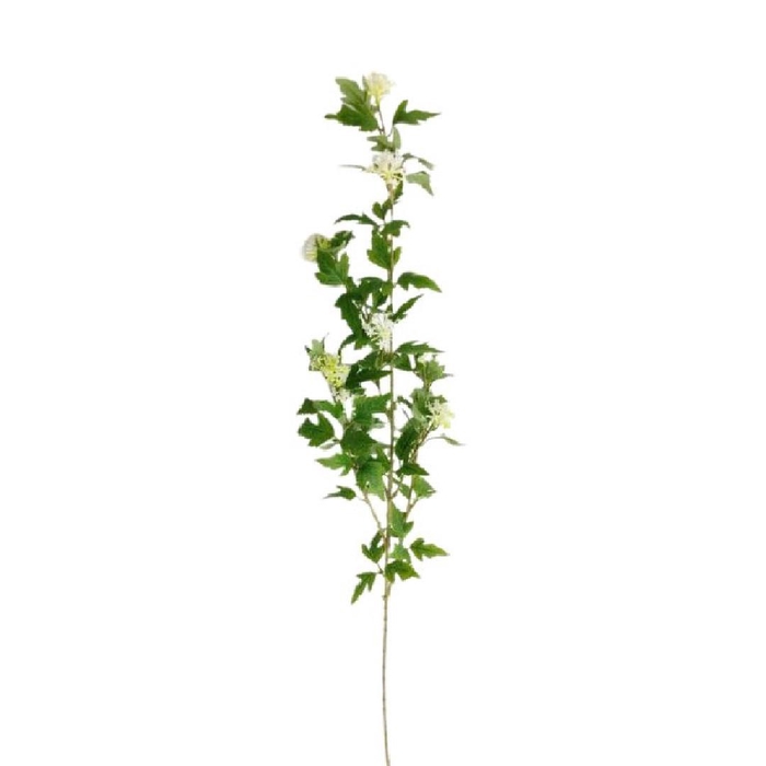 <h4>Artificial flowers Eucalyptus 90cm</h4>