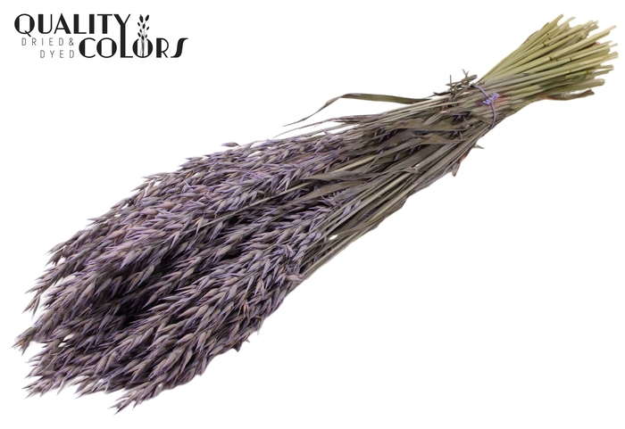 <h4>Avena per bunch Frosted Milka</h4>