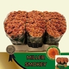 Chr S Miller Smokey ''new''
