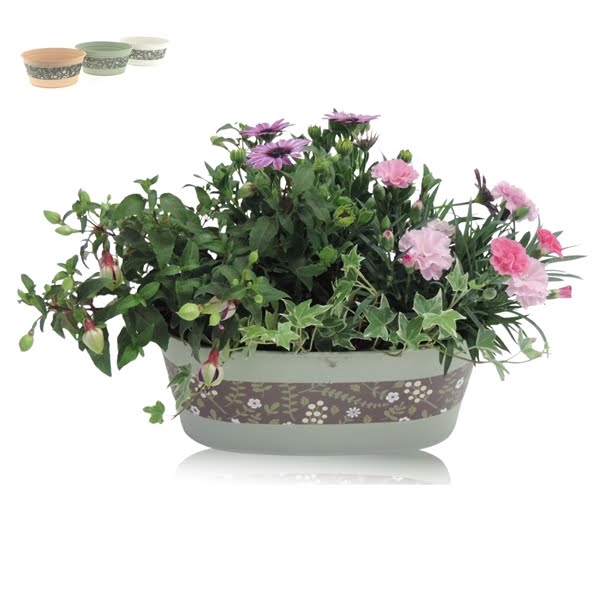 <h4>Collectie Florentina Arrangement in Zinken Schaal Ovaal 26 cm</h4>