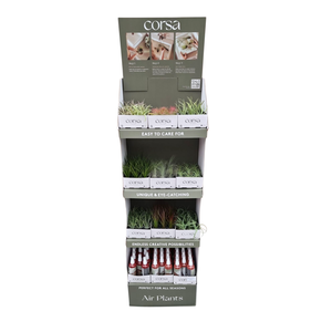 Tillandsia display losse planten