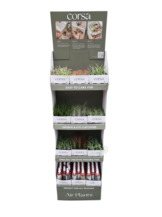 <h4>Tillandsia display losse planten</h4>