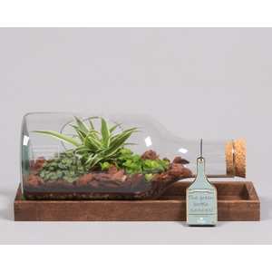 Green Bottle fles liggend small met groene planten