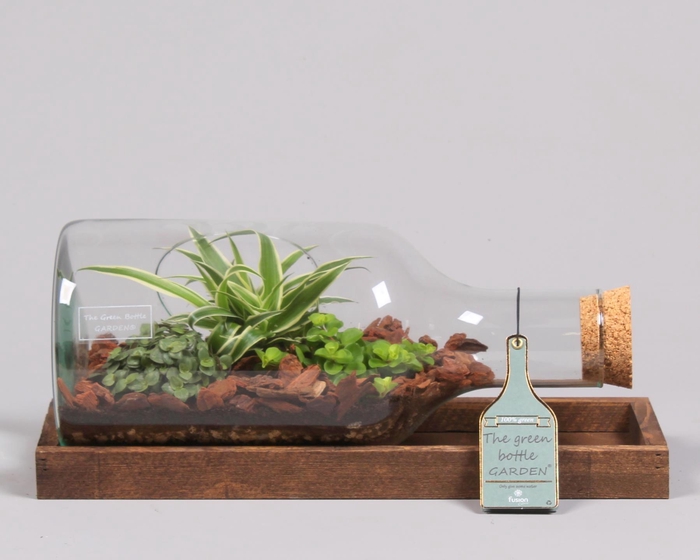 <h4>Green Bottle fles liggend small met groene planten</h4>