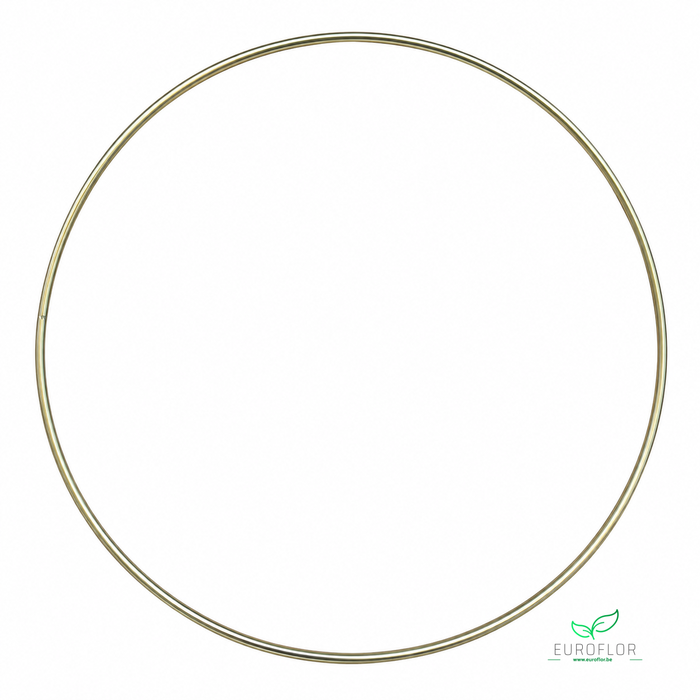<h4>METAL RING D25 GOLD</h4>