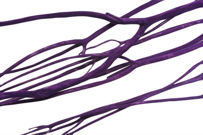 Mitsumata Flaked Lilac 3 Pcs Bunch