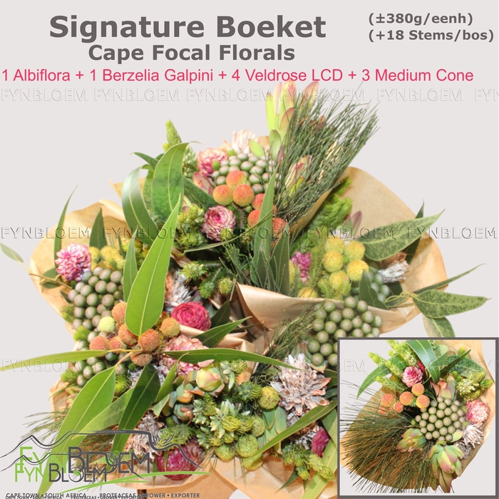 <h4>KAAPS GROE GEM IN BS</h4>