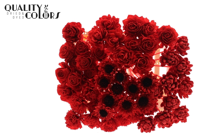 Shola Flower Mix on stem Red