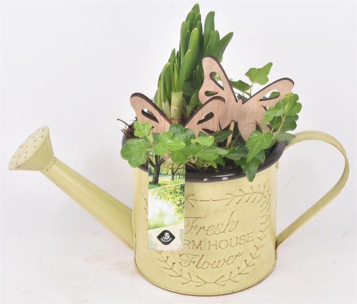 <h4>Zink gieter 14cm</h4>