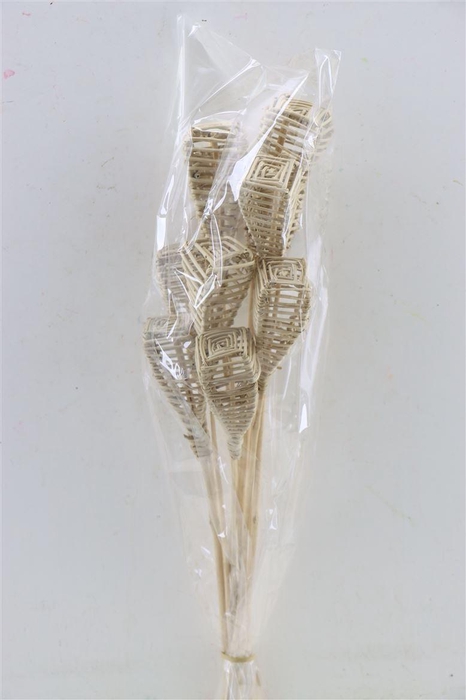 <h4>Lata Lamp 10pc Bag</h4>