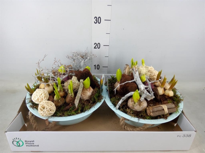 <h4>Arr.   Bol/Knolgewas L%</h4>