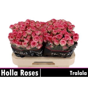 R Tr Tralala