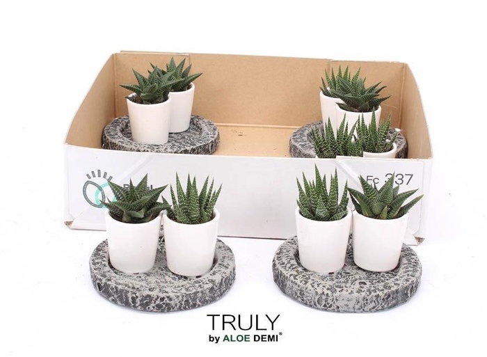 <h4>arr8 Hawo Gem</h4>