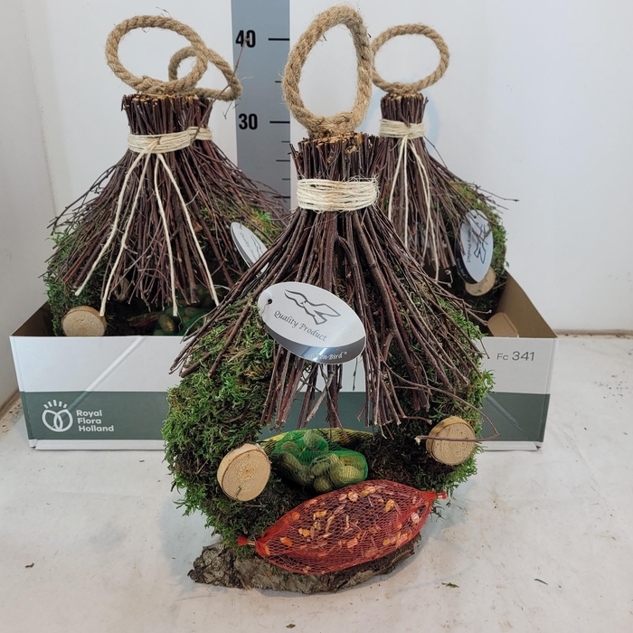 <h4>VOGELZ FIGUUR H%</h4>