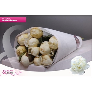 Paeonia Bridal Shower