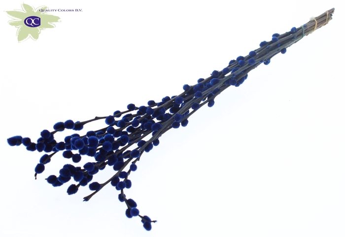 <h4>Pussy Willow 60cm Blue</h4>