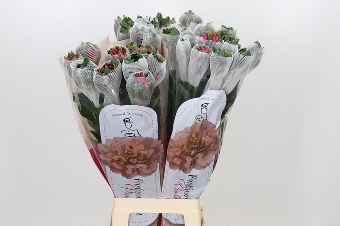 <h4>Alstroemeria Fashionista Pink</h4>