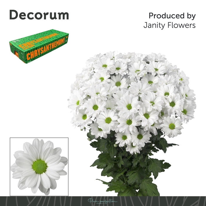 <h4>CHR T KENNEDY</h4>