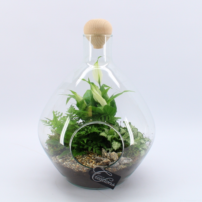 <h4>GRCR-2429 Green Essentials Terrarium</h4>