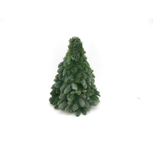 Kerstboom Nobilis 40cm